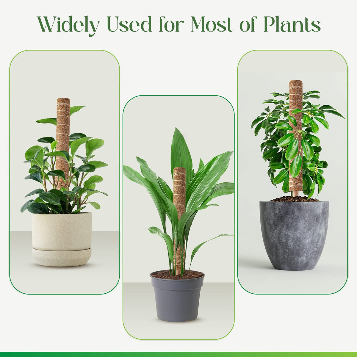 Pisol extension pole lets you lengthen the support as plants grow