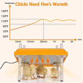 Pitalok brooder heater adjustable height allows precise heat tuning to chicks' positions.