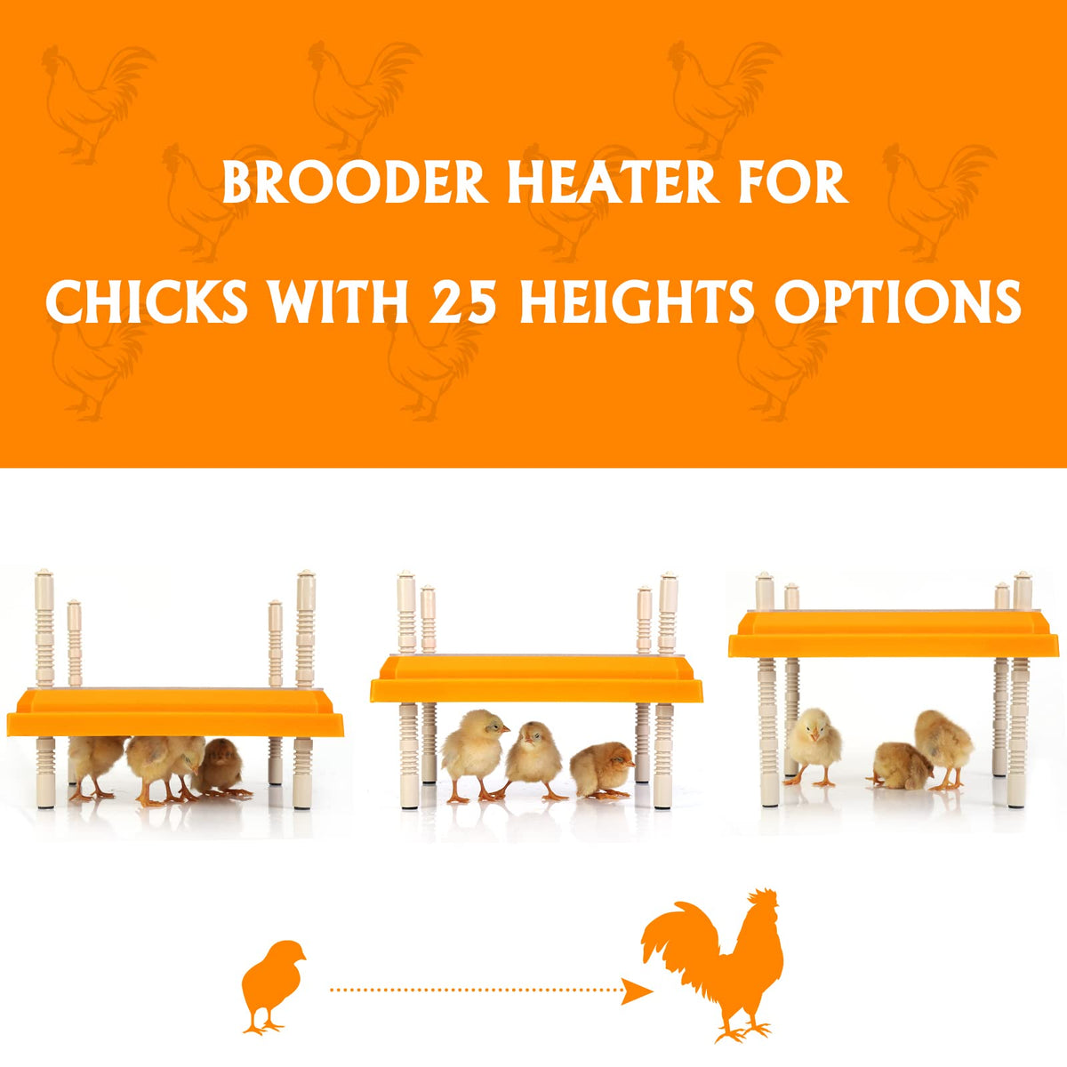 Pitalok brooder heater detachable top simplifies cleaning between broodings.