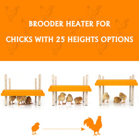 Pitalok brooder heater detachable top simplifies cleaning between broodings.