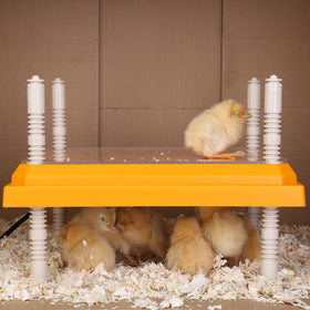 Pitalok brooder heater durable ABS for long-lasting poultry care.