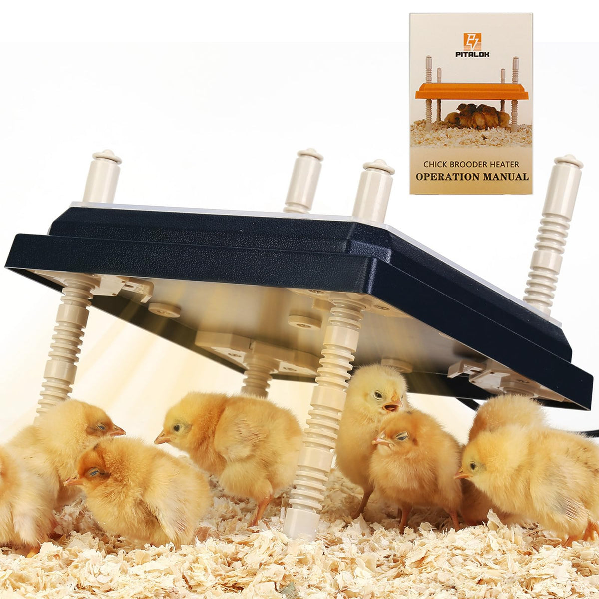 Pitalok brooder heater plate 12x12 inch provides even warmth for chicks.