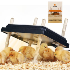 Pitalok brooder heater plate 12x12 inch provides even warmth for chicks.