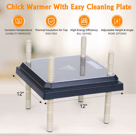 Pitalok detachable-top chick warming plate enables quick cleaning.