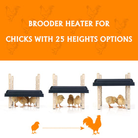 Pitalok energy-saving chick warmer fosters efficient brooding.