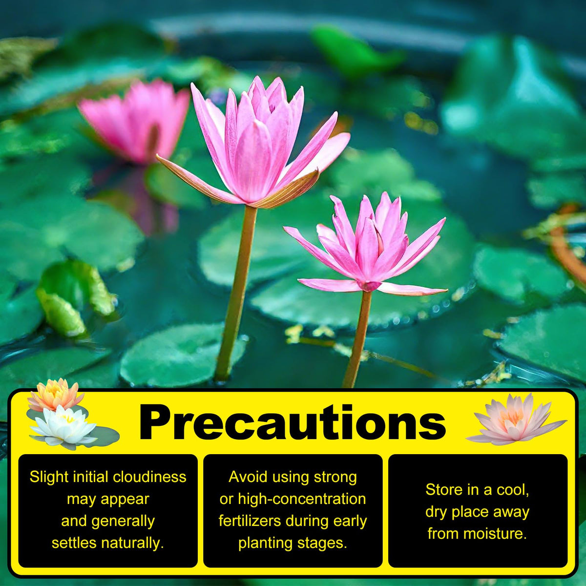 PJT Aquatic Plant Soil helps manage initial clouding during setup.