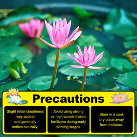 PJT Aquatic Plant Soil helps manage initial clouding during setup.