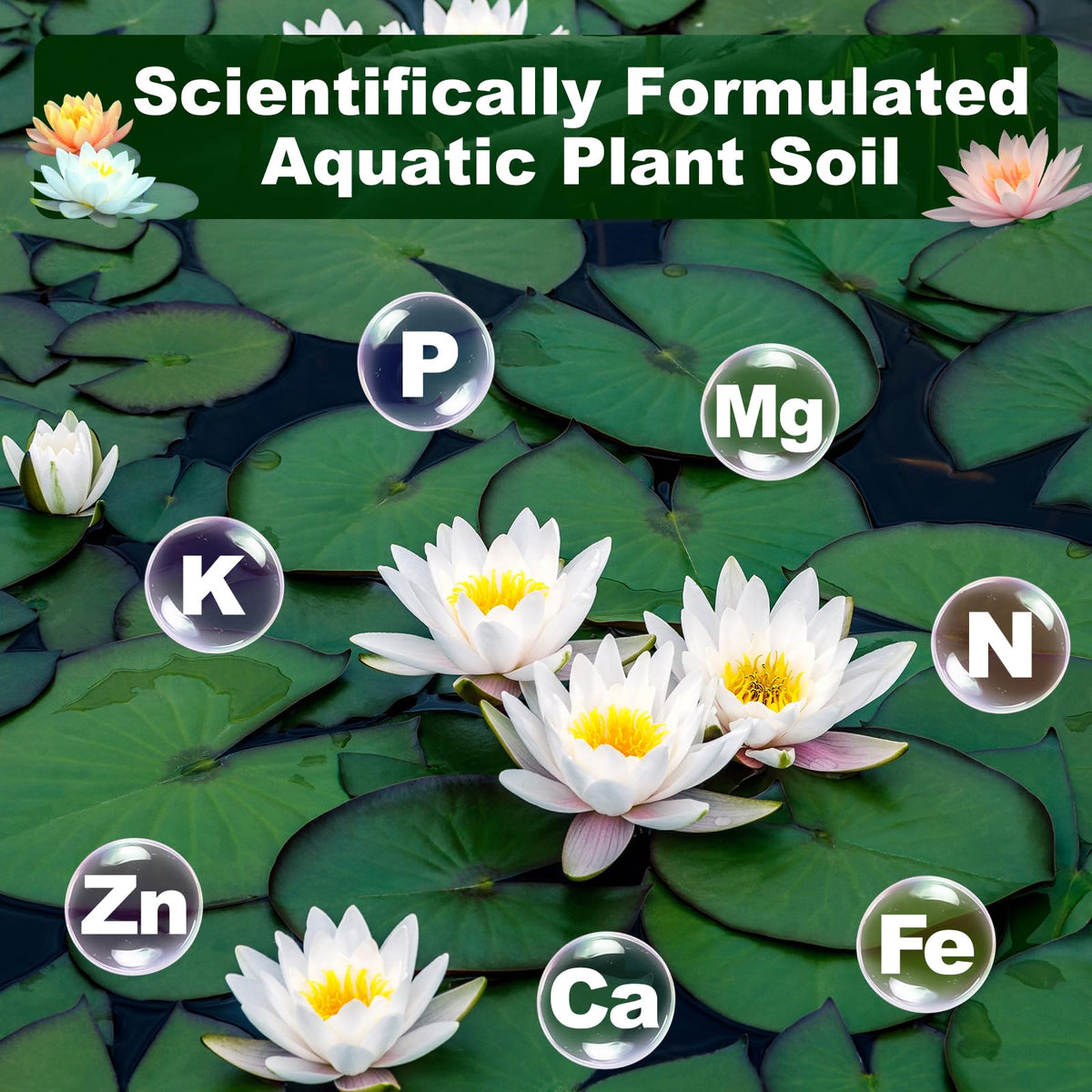 PJT Aquatic Plant Soil container pond use demonstrates adaptable planting medium