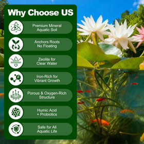 PJT Aquatic Plant Soil lotus focus highlights nutrient rich mix for healthy lotus roots