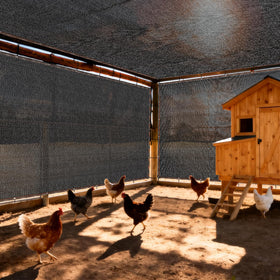 PJT shade cloth used in greenhouse to reduce direct sun exposure.