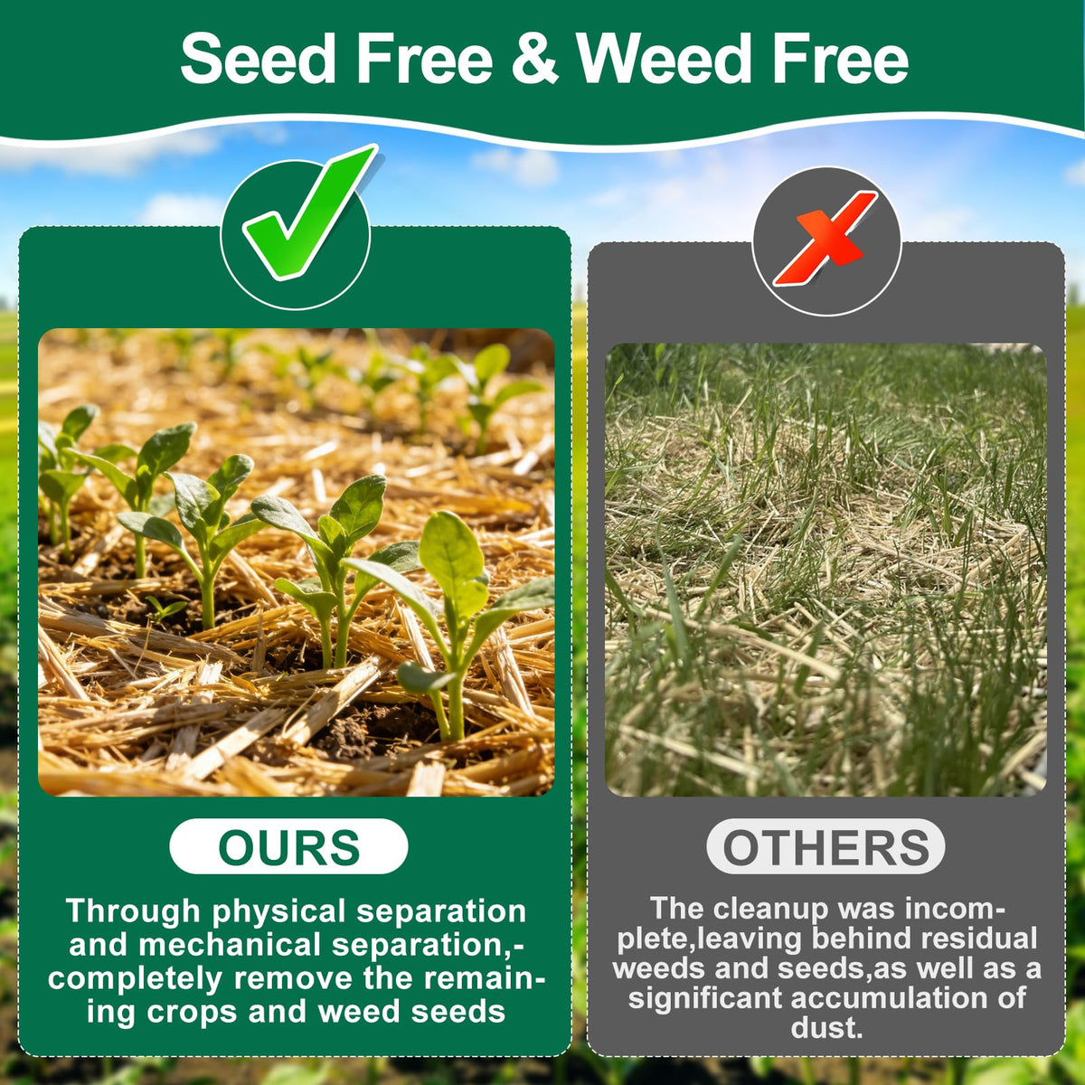 PJT Organic Garden Straw Mulch preserves soil moisture around plant roots.