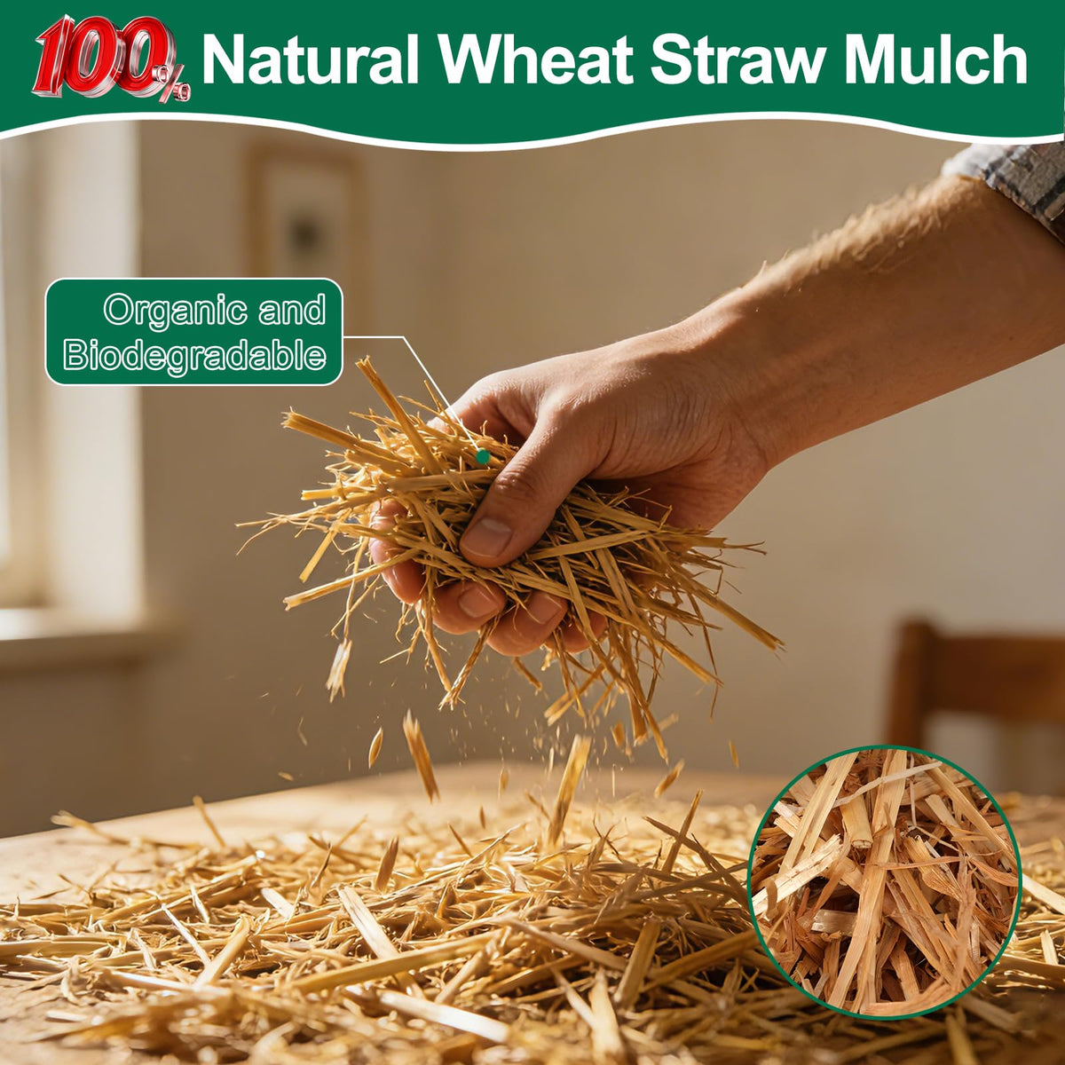 PJT Organic Garden Straw Mulch being spread over soil to protect seeds.