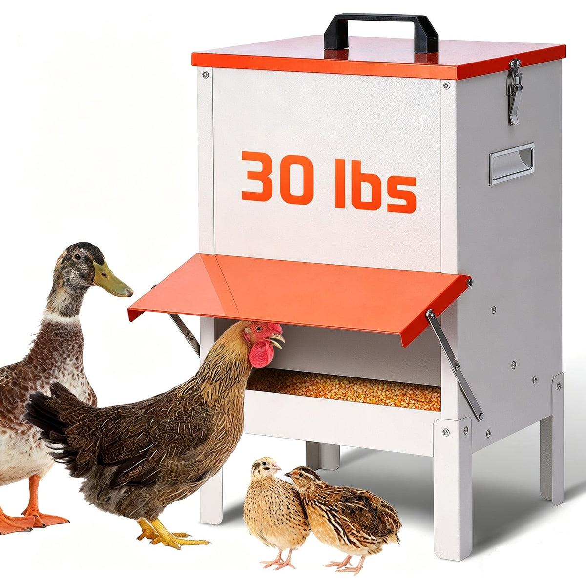 PKNYBZH 30lb outdoor feeder with gravity mechanism for steady flock access.