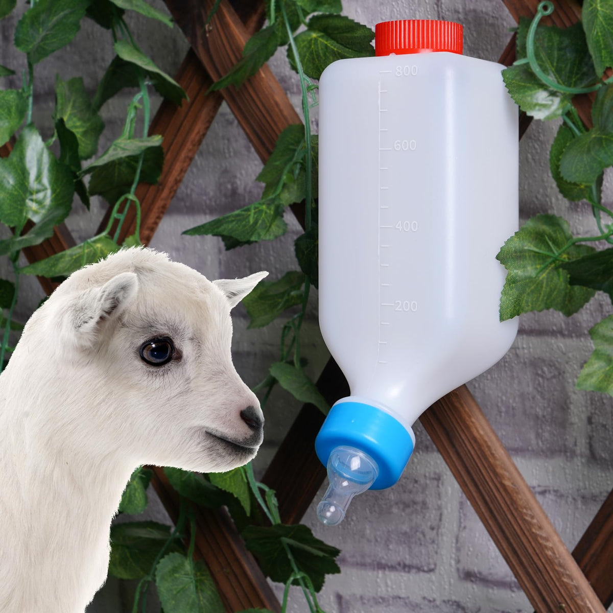PKNYBZH 800ml goat bottle with clear capacity marking for precise feeding