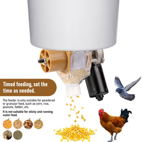 PKNYBZH 50W motor close-up showing strong power for smooth grain dispensing.