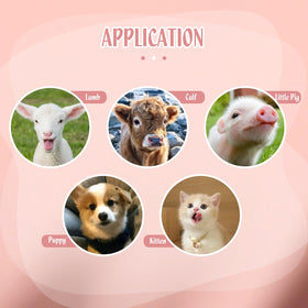 PKNYBZH supports efficient nursing for lambs and other mammals