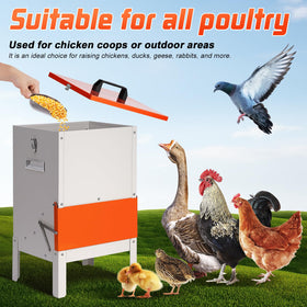 PKNYBZH large-capacity feeder reduces refilling frequency for busy coops.