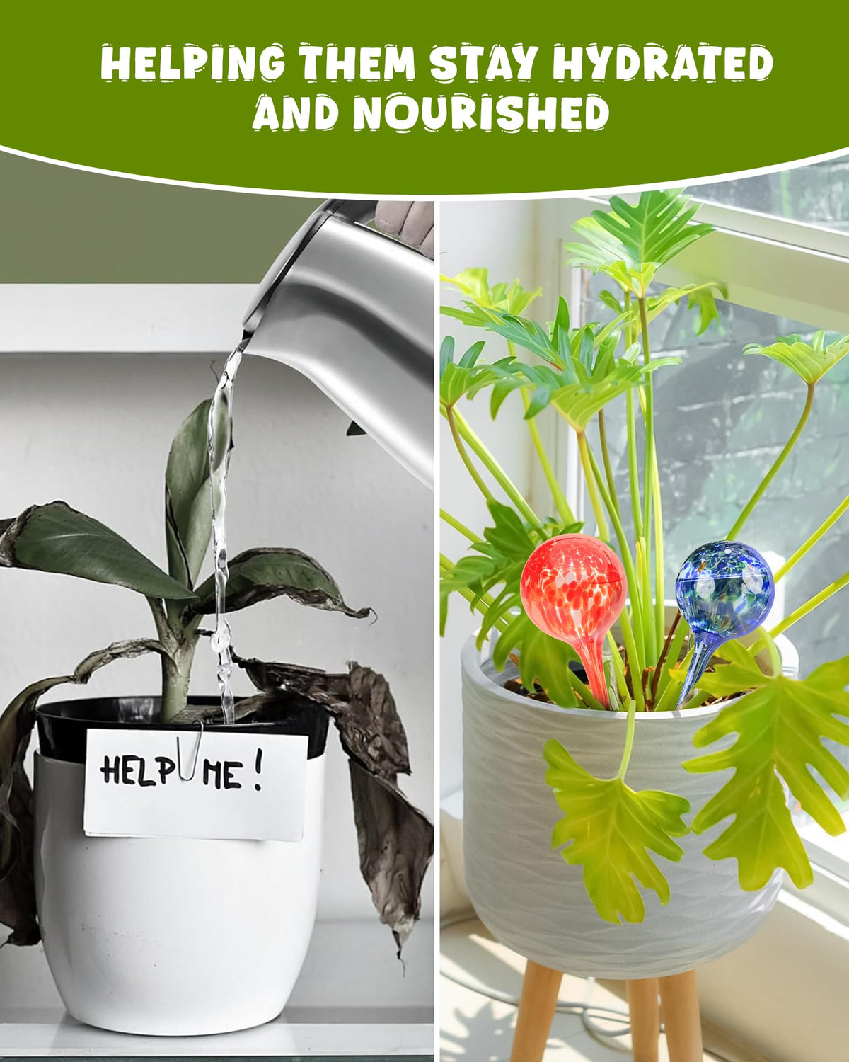 PlanKKers 6-pack set of multi-color globes for indoor plant care.