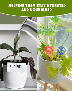 PlanKKers 6-pack set of multi-color globes for indoor plant care.