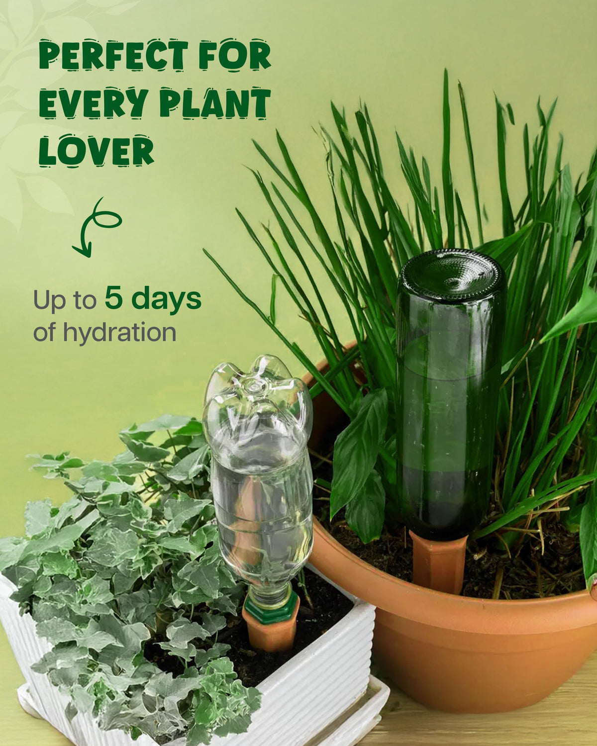 PlanKKers vacation water spike helps maintain soil moisture during travel.