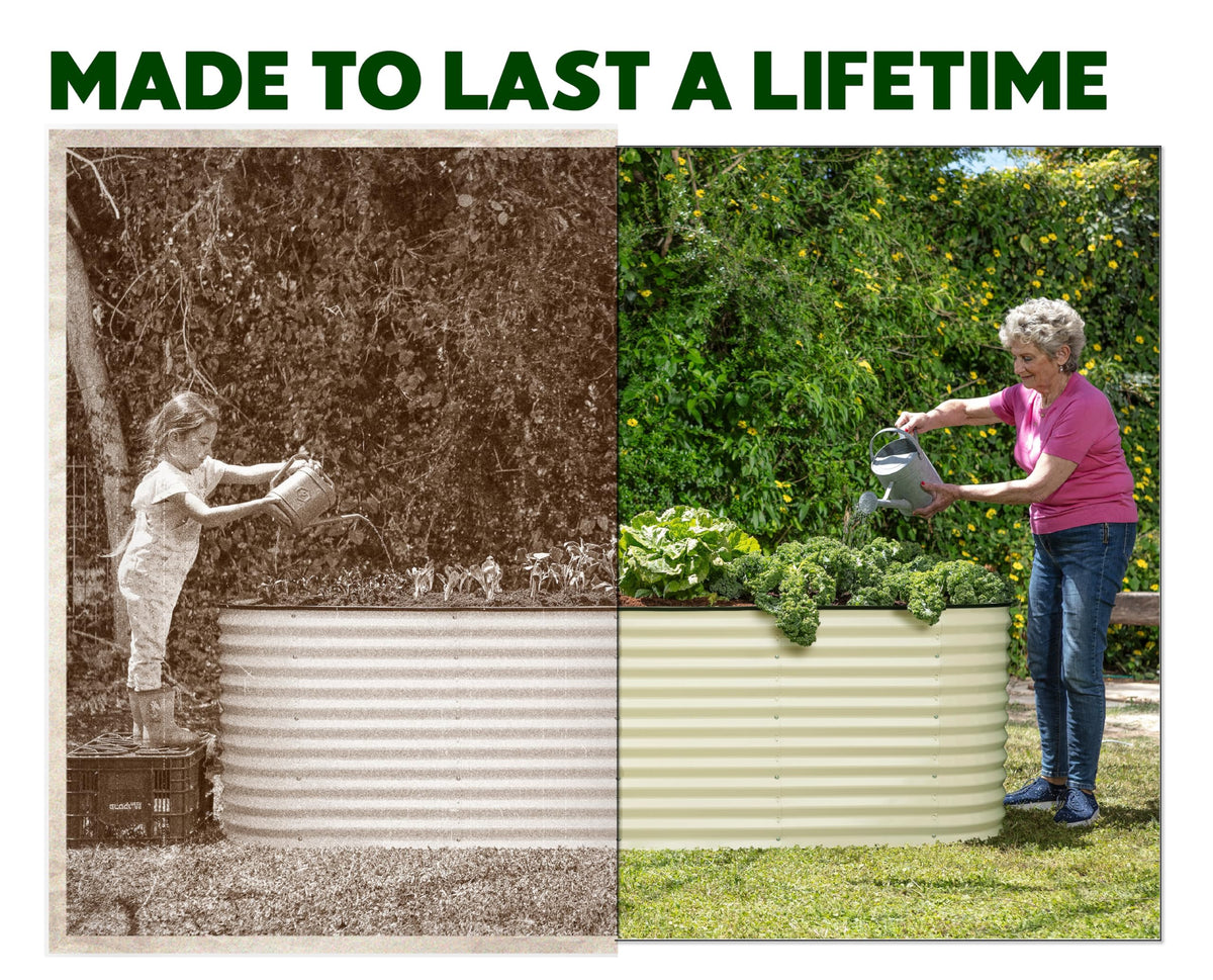 Plant and Plot 32-inch extra tall raised bed for comfortable gardening height.