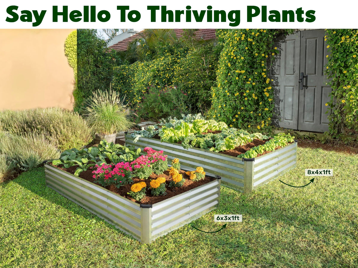 Plant & Plot community donation program supporting schools and groups