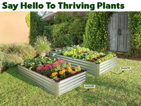 Plant & Plot community donation program supporting schools and groups