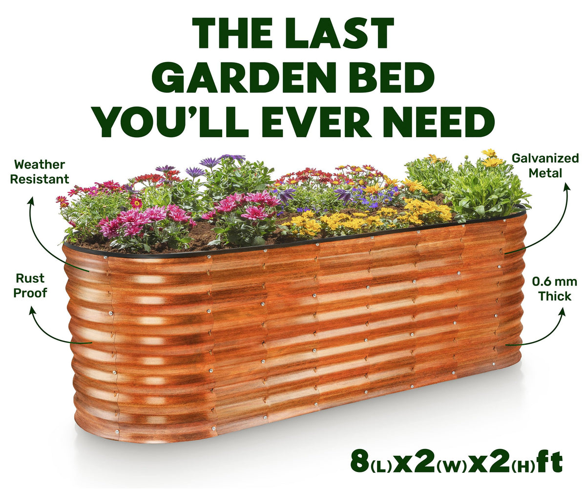 Plant & Plot supports schools and communities with garden beds.