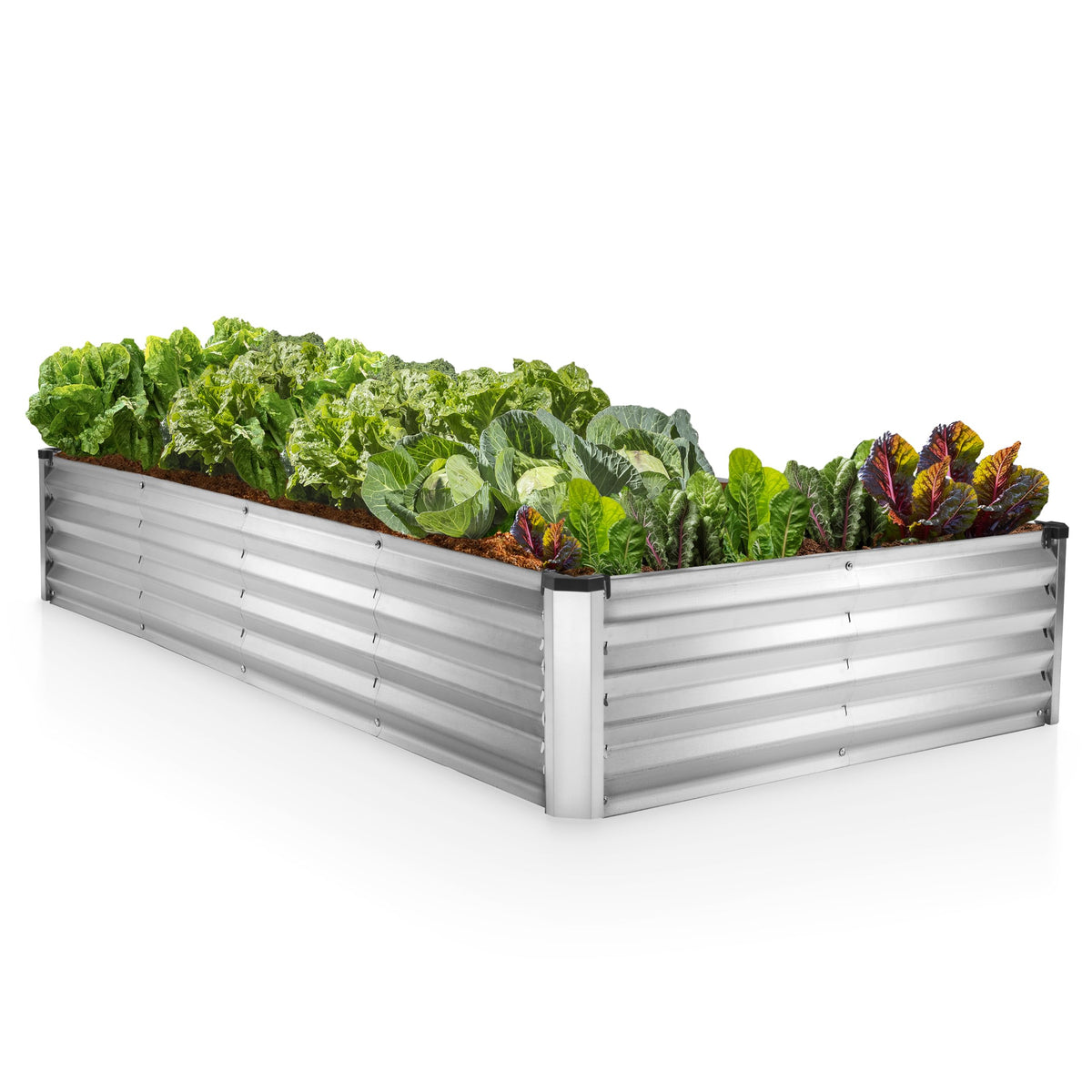 Plant & Plot galvanized raised garden bed with open base for easy planting access