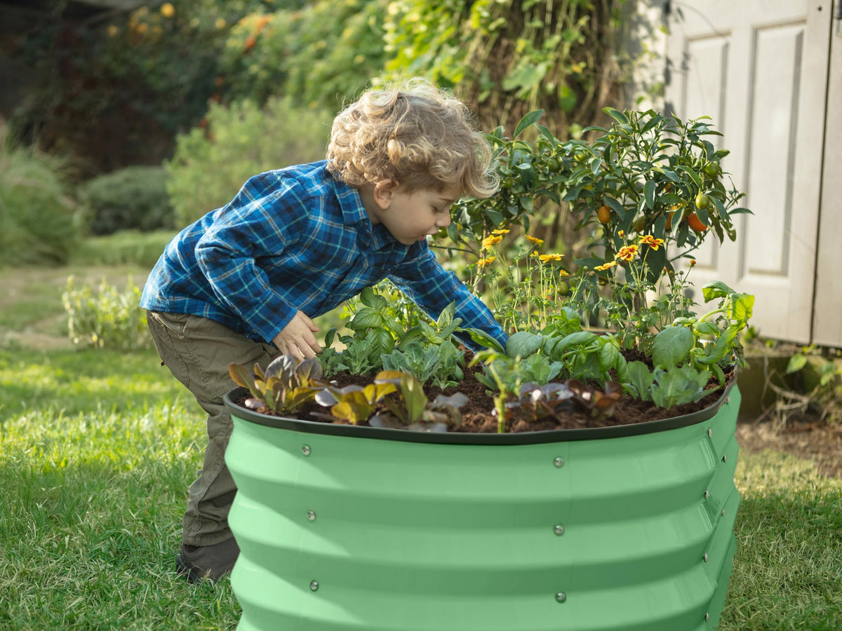 Plant and Plot in-use vegetables demonstrates efficient space for harvest-ready crops.