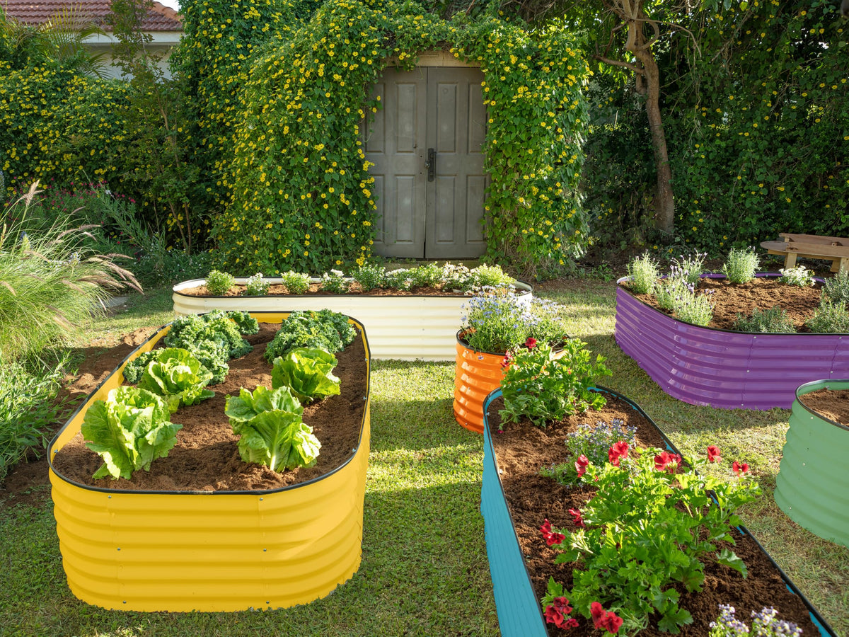 Plant & Plot tool-free assembly in 30 minutes, easy setup.