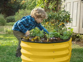 Plant & Plot yellow raised bed in use with vegetables and flowers.
