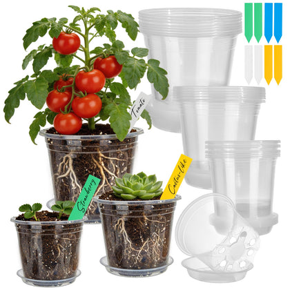 Plant Castle 4-inch clear nursery pot with drainage holes for seedling care