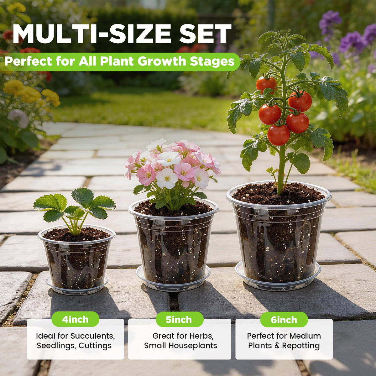 Plant Castle 6-inch clear nursery pot for larger plants and root checks
