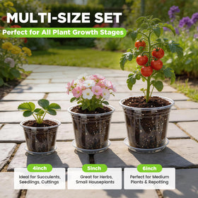 Plant Castle 6-inch clear nursery pot for larger plants and root checks