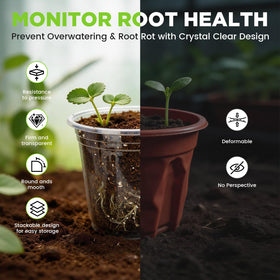 Plant Castle clear pot with eight drainage holes ensures proper drainage