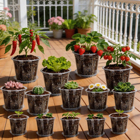 Plant Castle see-through root-monitoring pot enables moisture checks