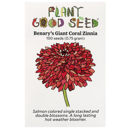 Plant Good Seed Benary's Giant Coral Zinnia bloom close-up for bouquets