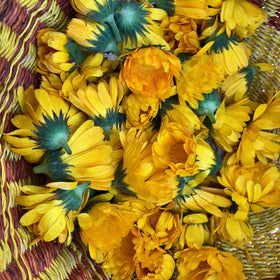 Garden scene showing Resina Calendula flowers attracting bees for a healthy ecosystem.