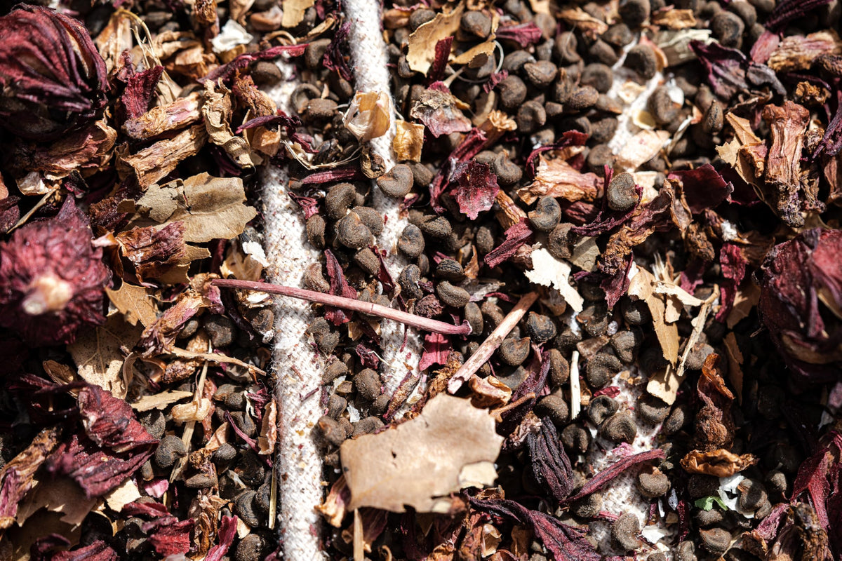 Plant Good Seed us-grown seeds with clear growing instructions.