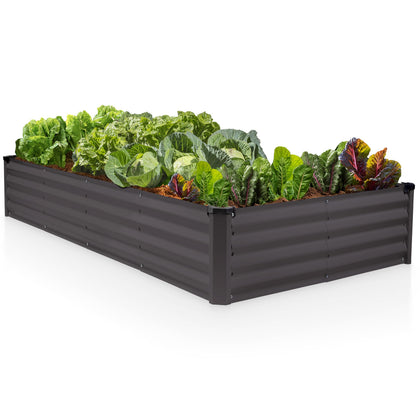 Plant & Plot 6x3x1ft raised bed providing ample space for vegetables and flowers.