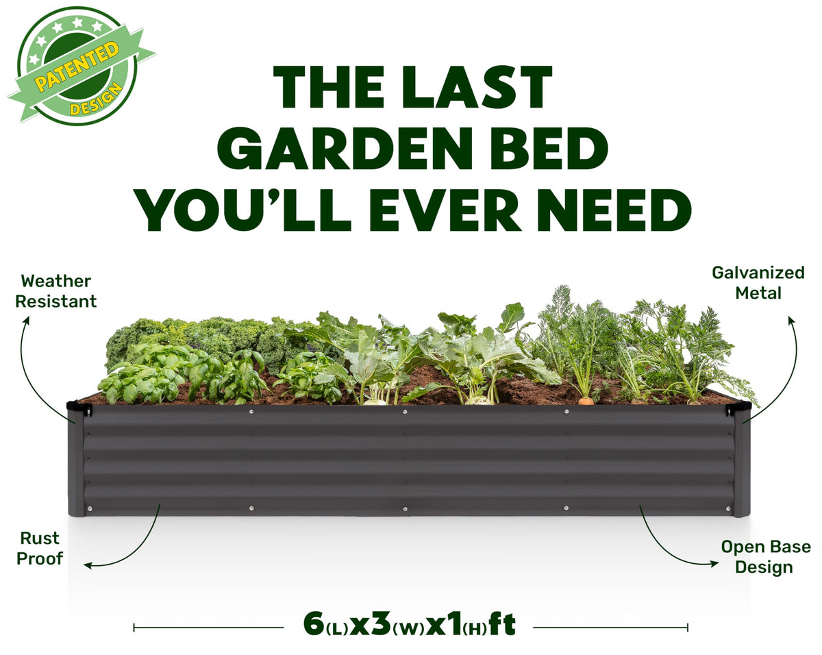 Plant & Plot community support image showing garden bed donations to schools.