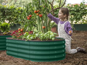 Plant & Plot zinc-coated galvanized bed resists rust in outdoor use.