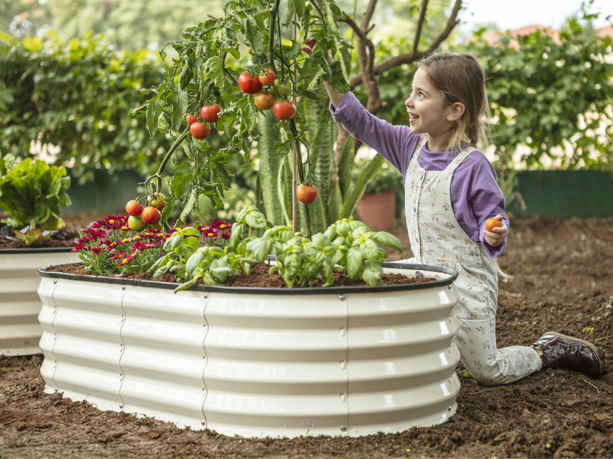 Plant & Plot galvanized bed with corrosion resistance for long-lasting outdoor gardening.