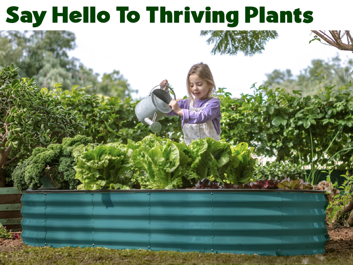 Plant & Plot open-base design image illustrating airflow and easy root access.