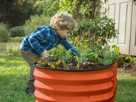 Plant & Plot veggies and flowers thriving in this garden bed.