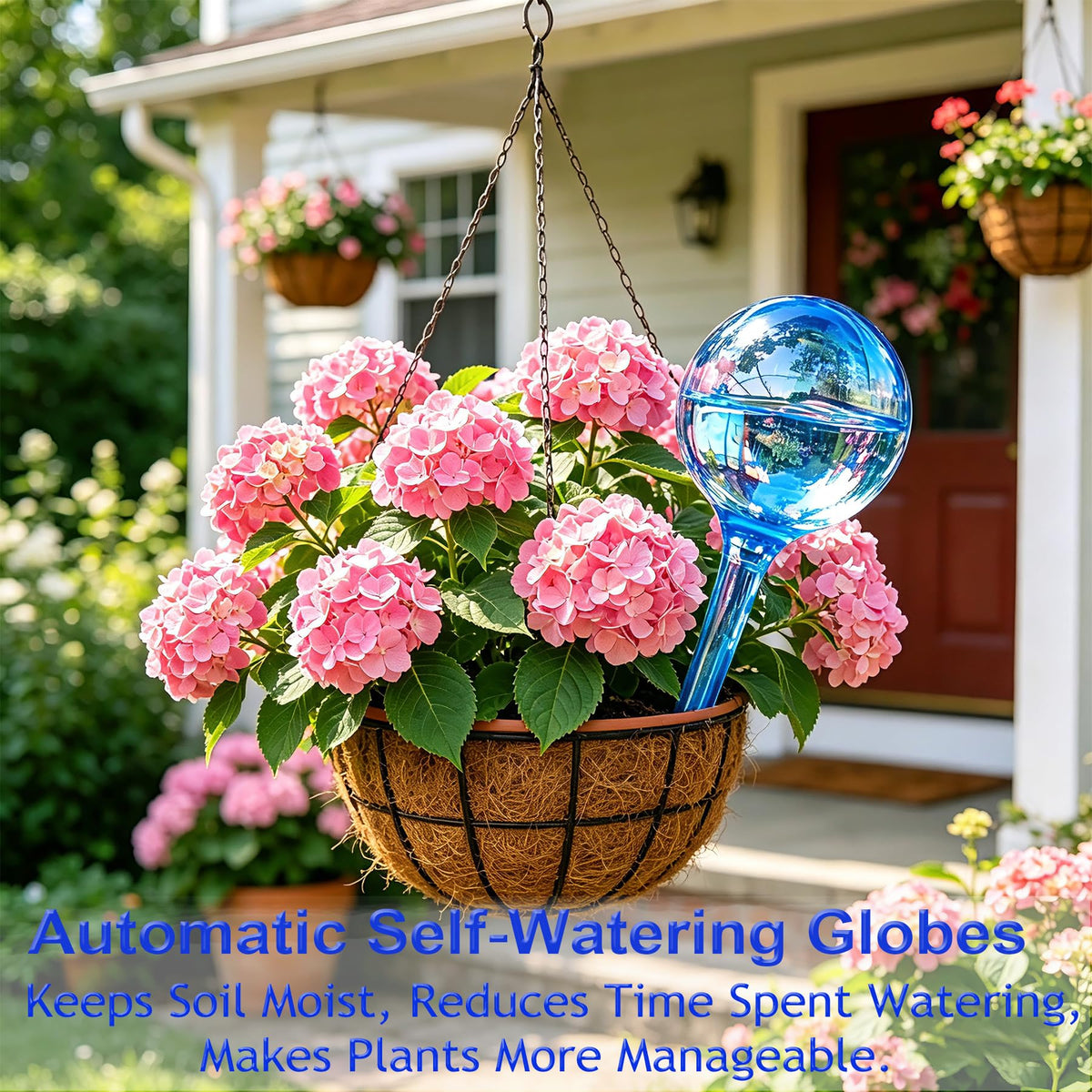 Plant Self-Watering Bulbs globe in soil showing gradual hydration