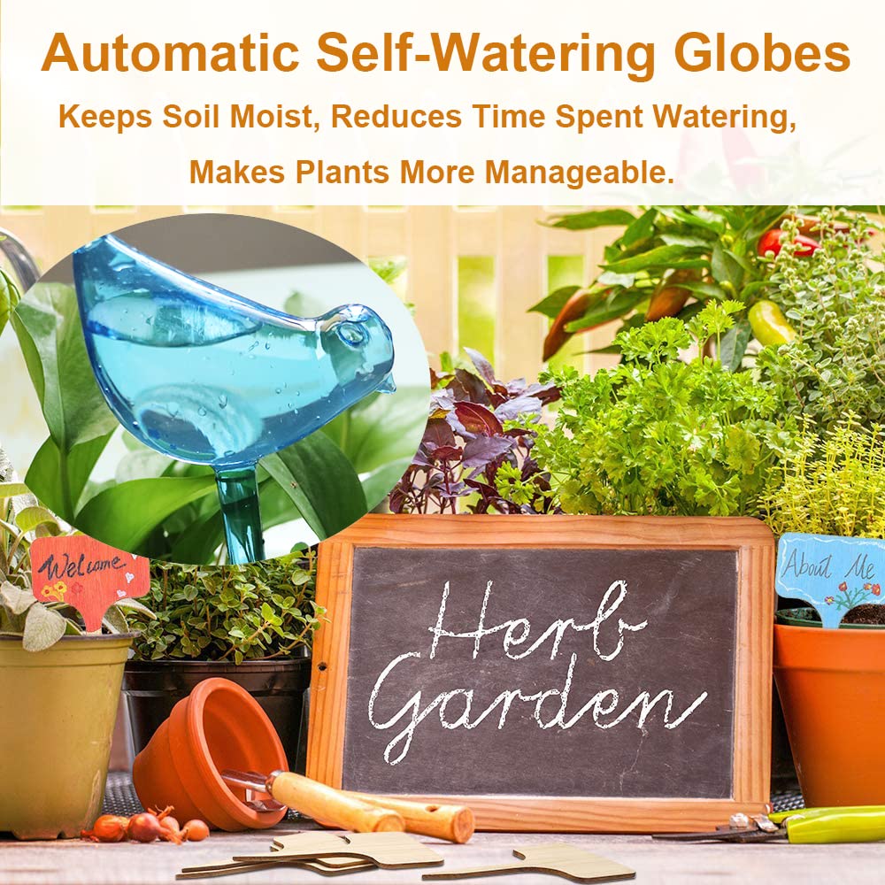 Plant Self-Watering Bulbs suitable for pots baskets and beds