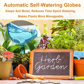 Plant Self-Watering Bulbs suitable for pots baskets and beds
