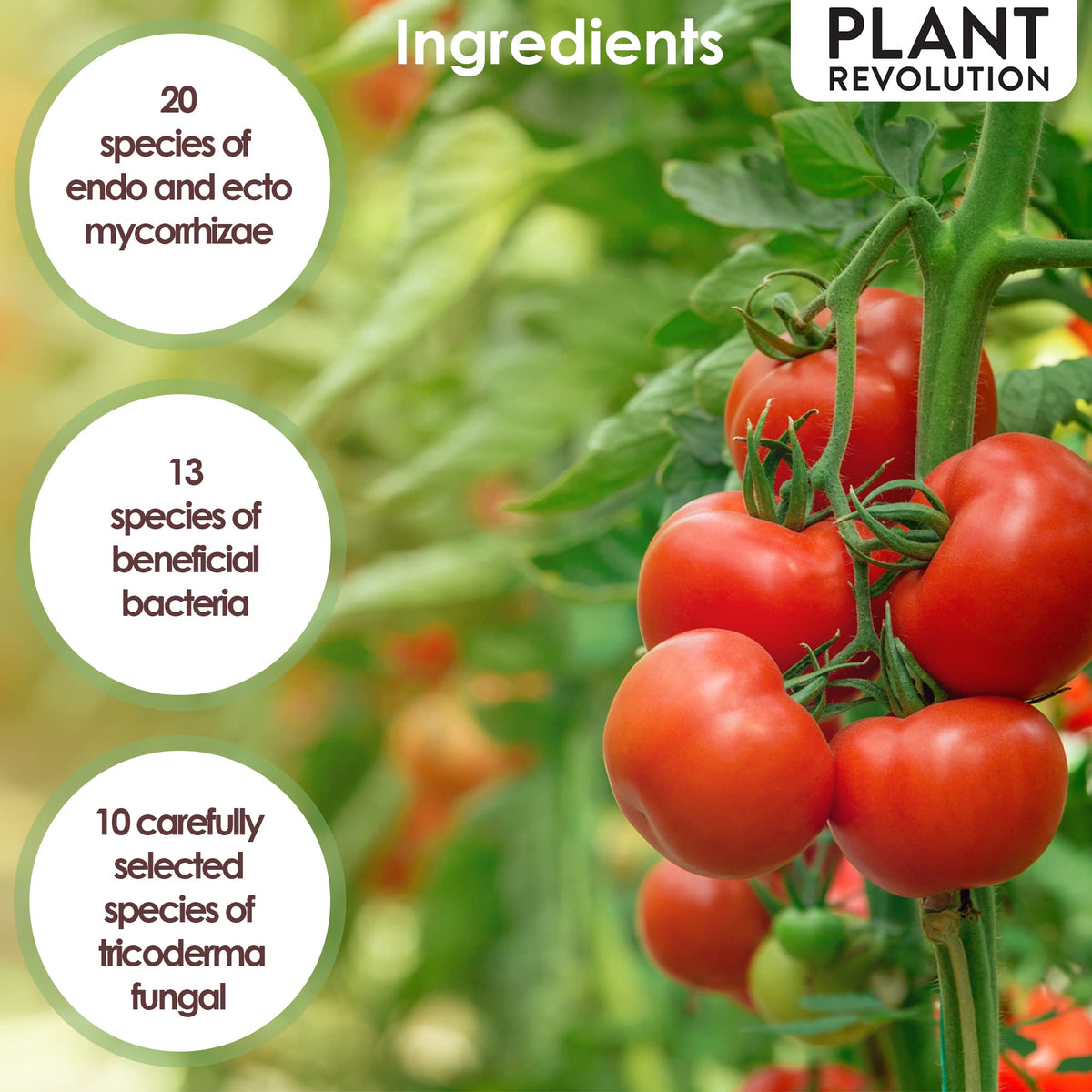 Plant Success Organics Close-up granules reveal natural ingredients suitable for sustainable feeding.